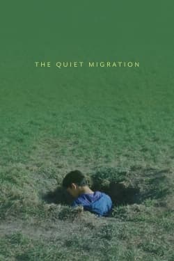 The Quiet Migration