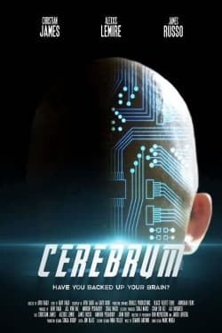 Cerebrum