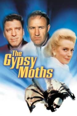 The Gypsy Moths