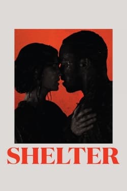 Shelter