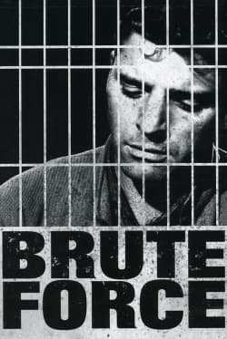 Brute Force